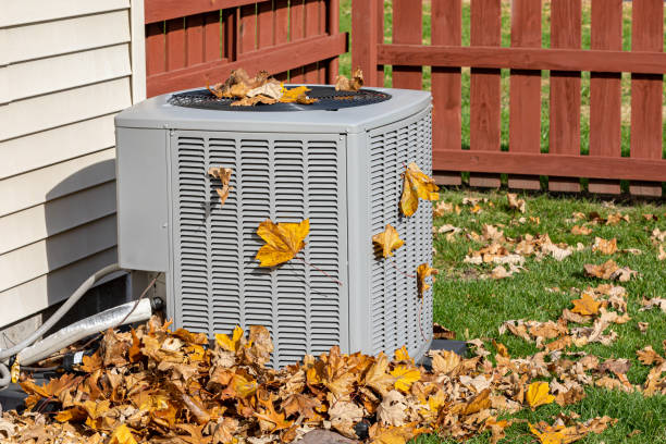 Best HVAC Repair Near Me  in Lauderdale, MN