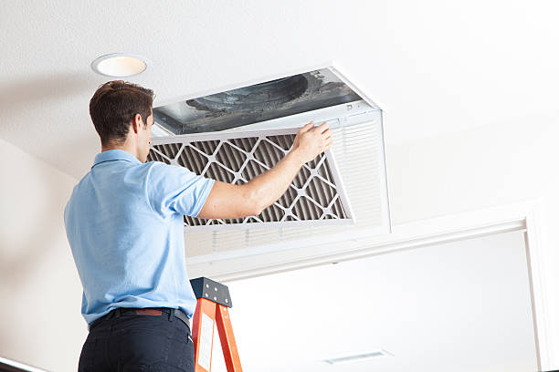 Best Air Conditioning Repair  in Lauderdale, MN